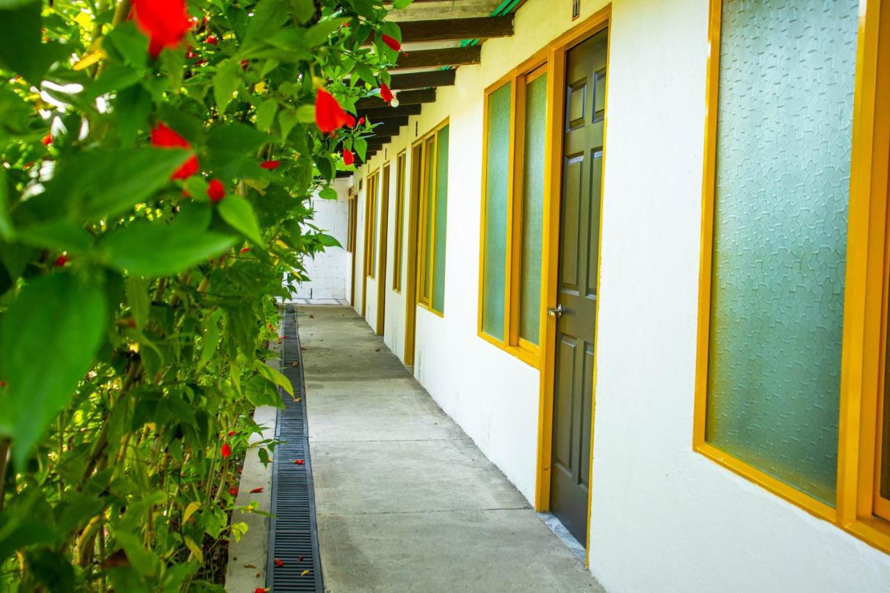 Hotel Villa Bosco Palmira  Eksteriør bilde